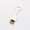 Sesuai dengan Kunci Plastik Standar Eropa USB Flash Drive 2.0 64GB 128GB 50MB/S