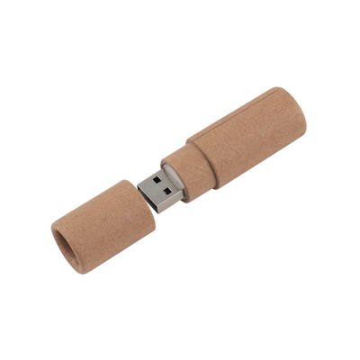 Custom Made 3.0 Fast USB Flash Dengan Foto Tampilkan Opsi Logam/Plastik/PVC