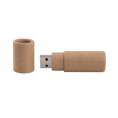 Custom Made 3.0 Fast USB Flash Dengan Foto Tampilkan Opsi Logam/Plastik/PVC