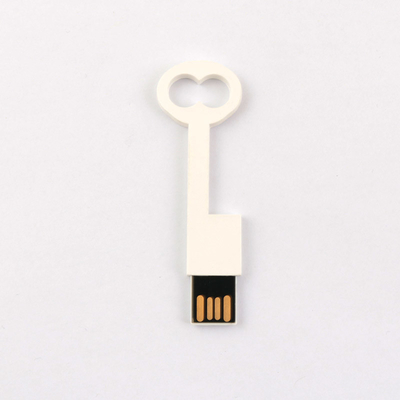 Sesuai dengan Kunci Plastik Standar Eropa USB Flash Drive 2.0 64GB 128GB 50MB/S