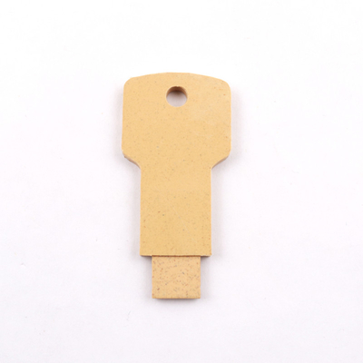 Bahan Daur Ulang Lulus Sertifikasi UKCA Plastik Usb Stick 2.0 20MB/Detik 128GB 64GB